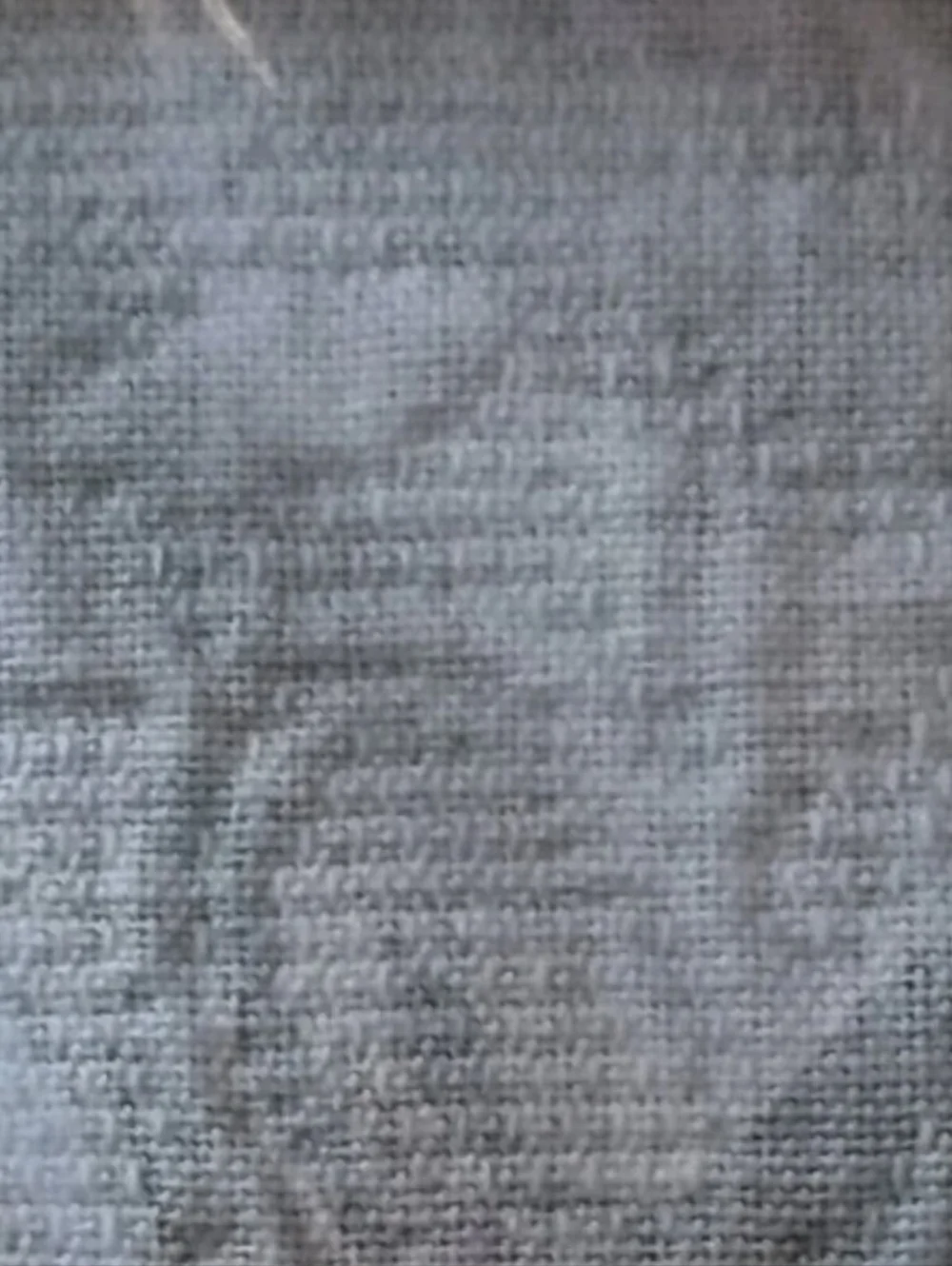 2 Historic Charleston Foundation Pillow Shams Quilted King‎ Size King Charles